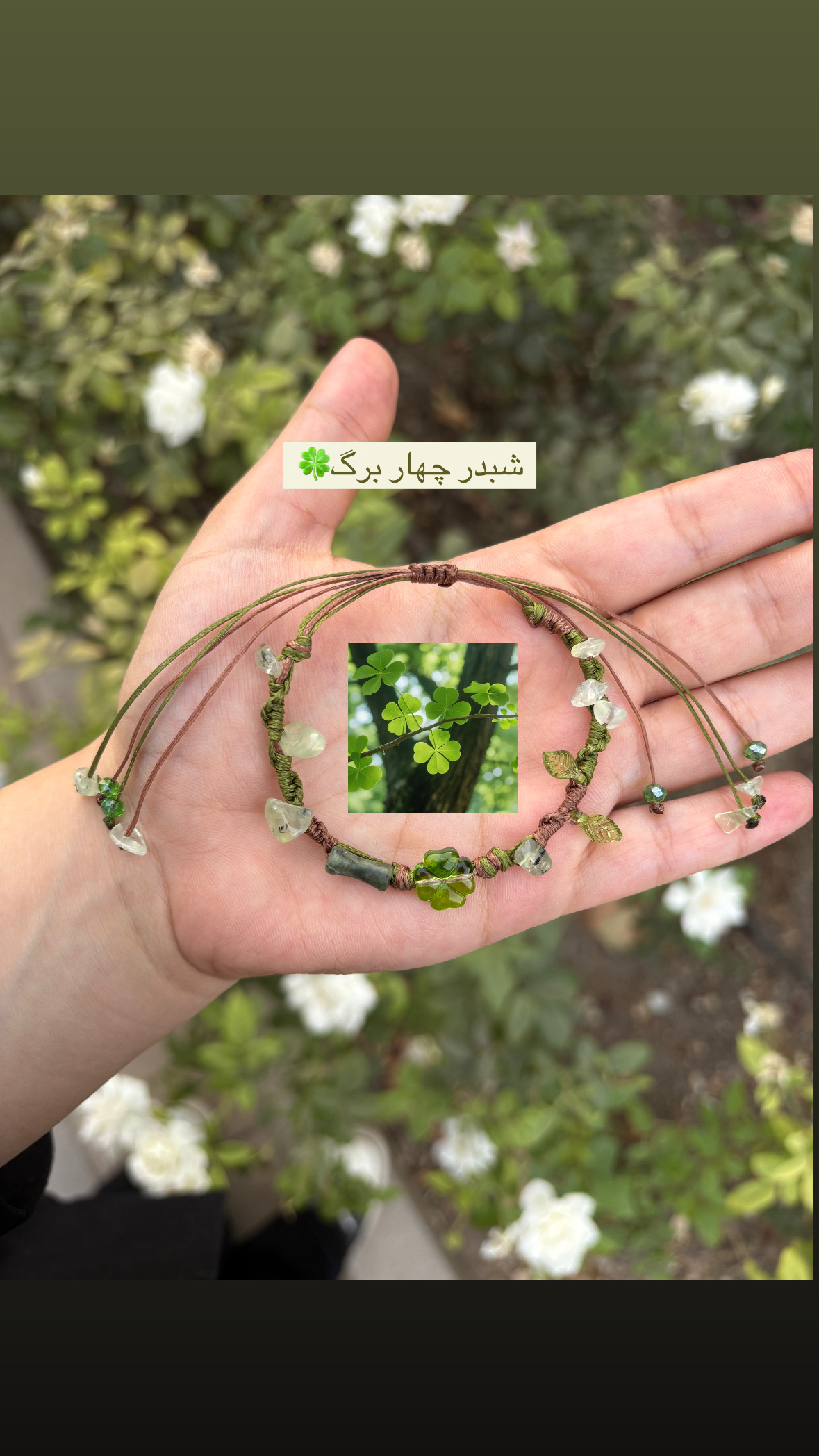شبدر چهار برگ سبز